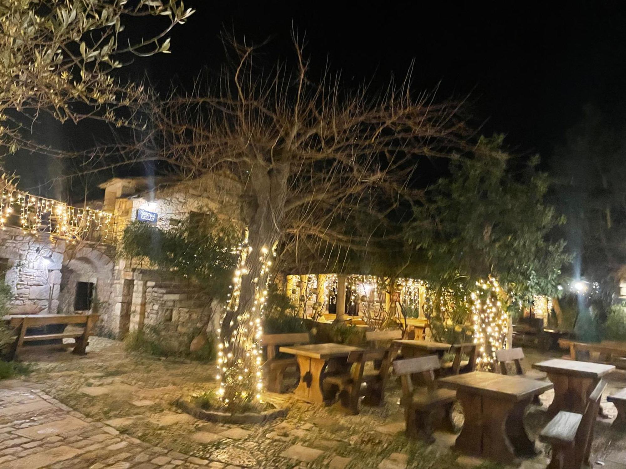 My Adriatic Place With Private Garden And Garage Šibenik Extérieur photo